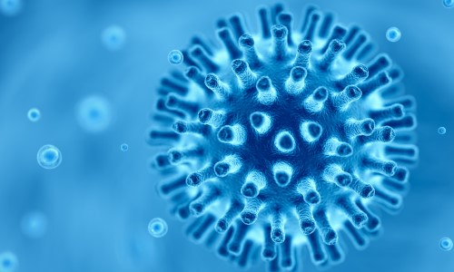 Coronavirus and the role of biometrics